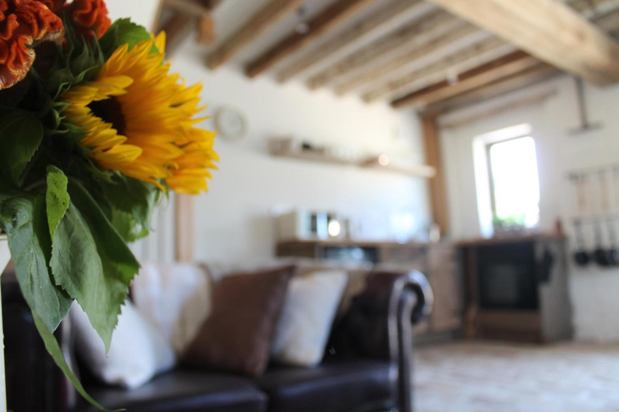 Villa The Dovecote - Unique Self-Contained 1Bed Renovated Barn Saffron Walden Exterior foto